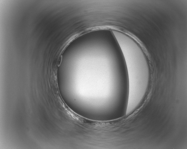 X0000080750809200612150956