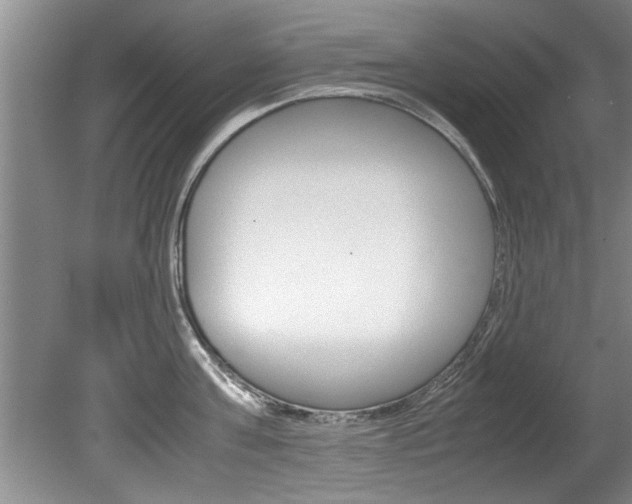 X0000080750811200612150956