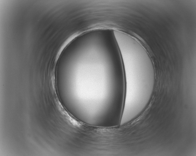 X0000080750812200612150956
