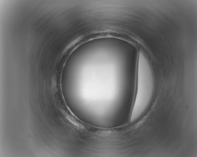 X0000080750826200612150955