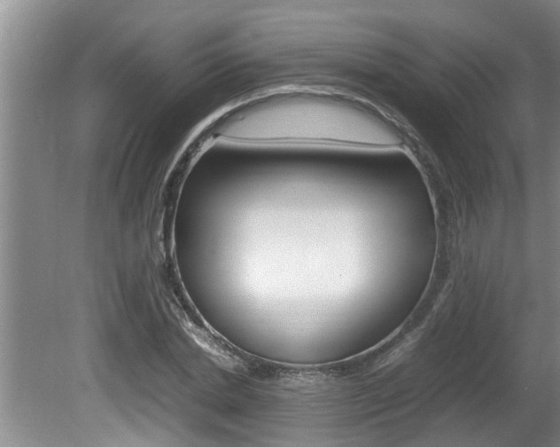 X0000080750830200612150955