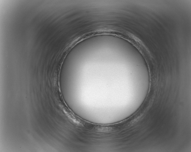 X0000080750833200612150955