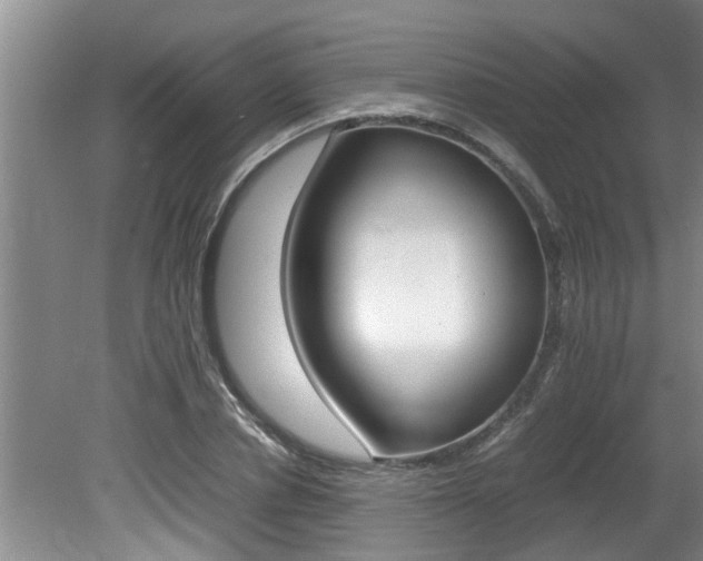 X0000080750834200612150955
