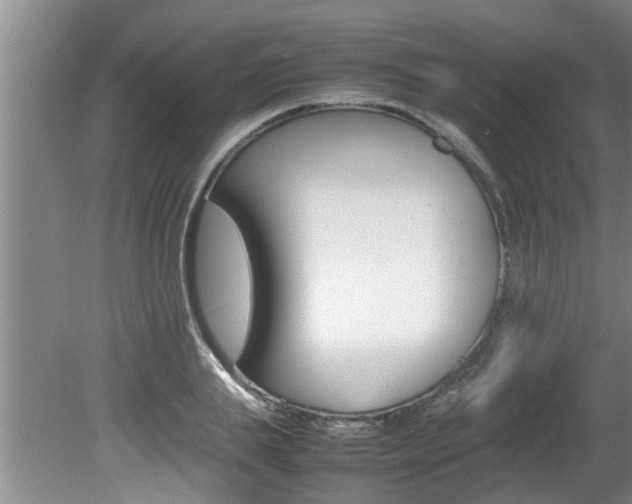 X0000080750839200612150956