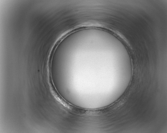 X0000080750840200612150956