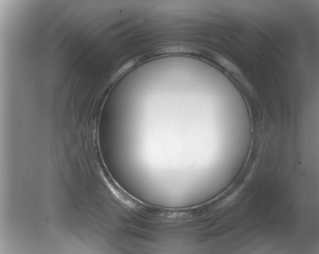 X0000080750841200612150956
