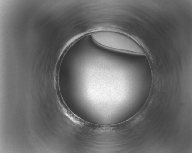 X0000080750846200612150956