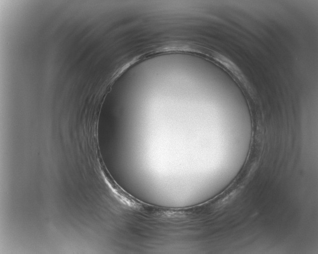 X0000080750849200612150956