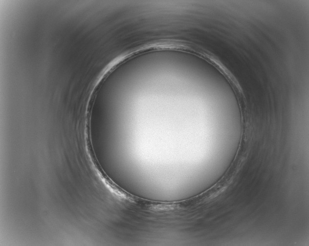 X0000080750853200612150956