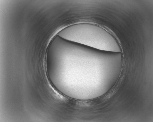 X0000080750855200612150956