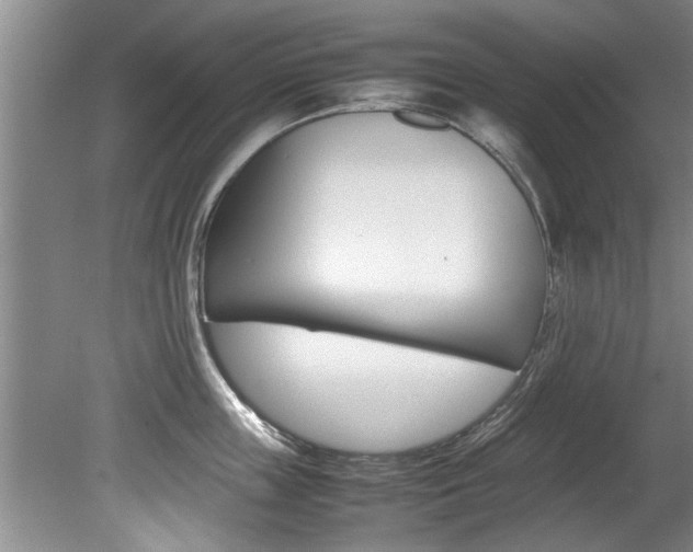 X0000080750859200612150956