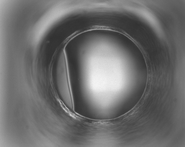 X0000080750862200612150956