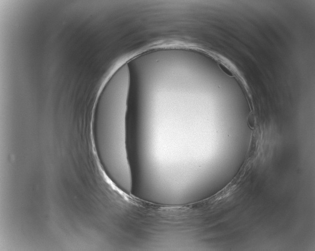 X0000080750863200612150956