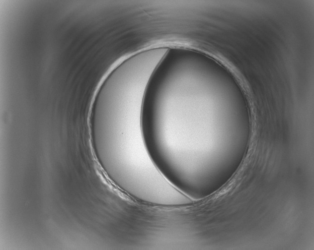X0000080750864200612150956
