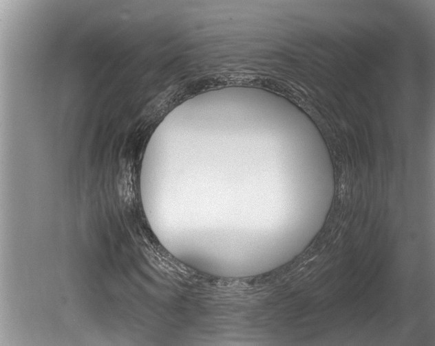 X0000080750866200612150955