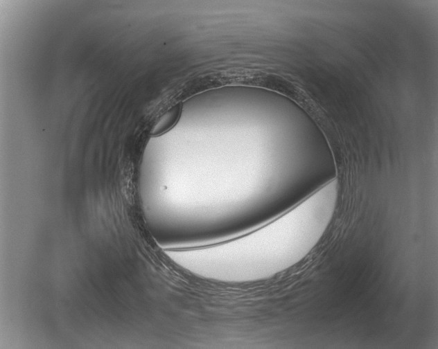 X0000080750867200612150955