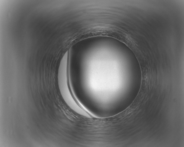 X0000080750868200612150955
