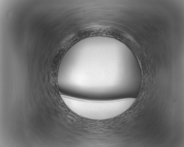 X0000080750869200612150955