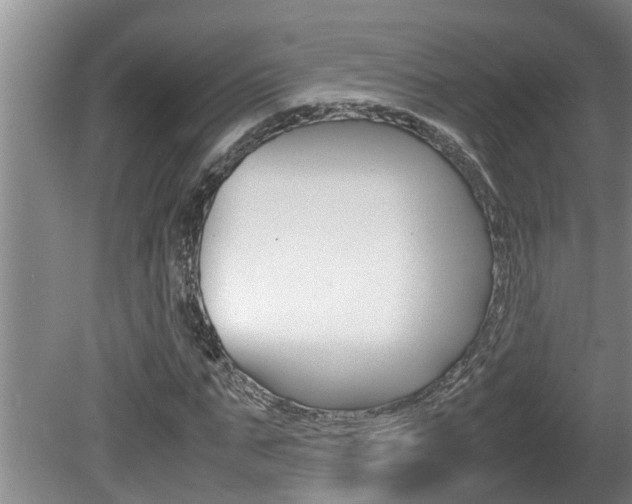 X0000080750871200612150955
