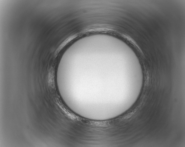X0000080750874200612150955