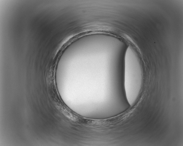 X0000080750875200612150955