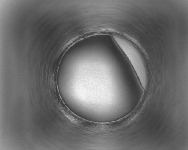 X0000080750881200612150955