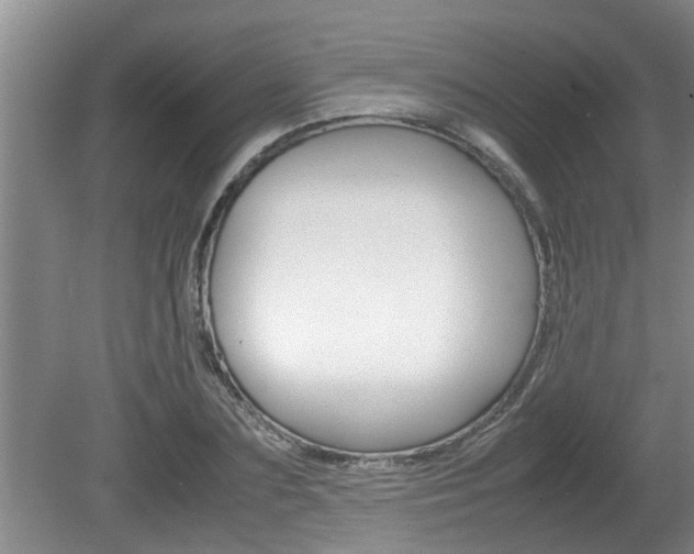 X0000080750883200612150955