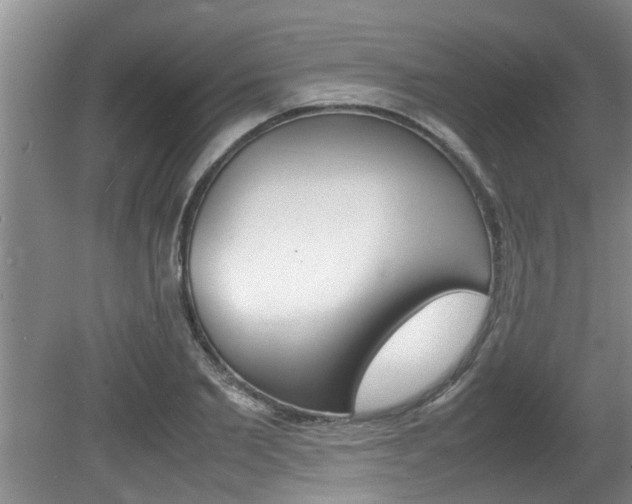 X0000080750885200612150955