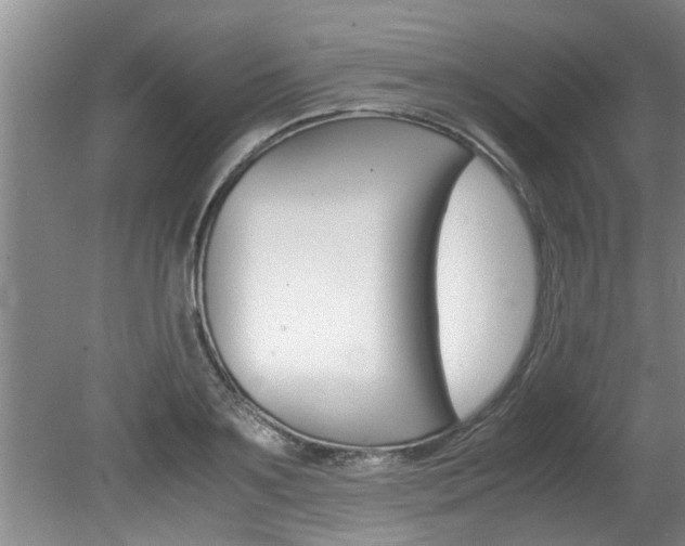 X0000080750891200612150955