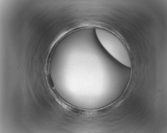X0000080750893200612150955