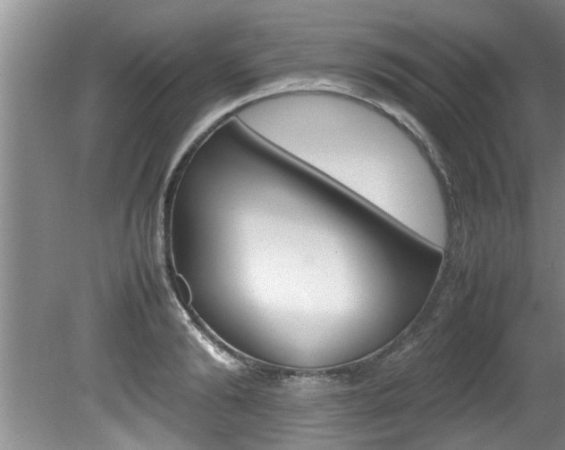 X0000080750894200612150955