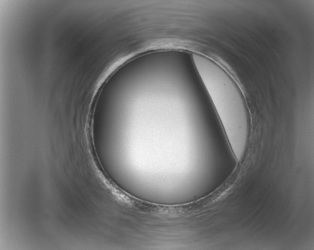 X0000080750901200612150955