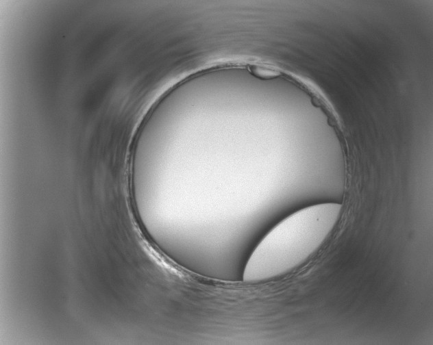 X0000080750903200612150955