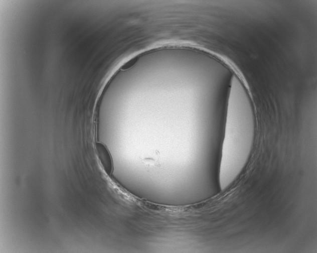 X0000080750911200612150954