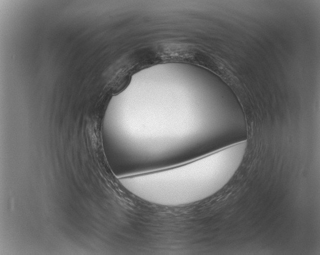 X0000080750915200612150954