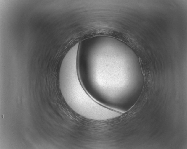X0000080750916200612150954