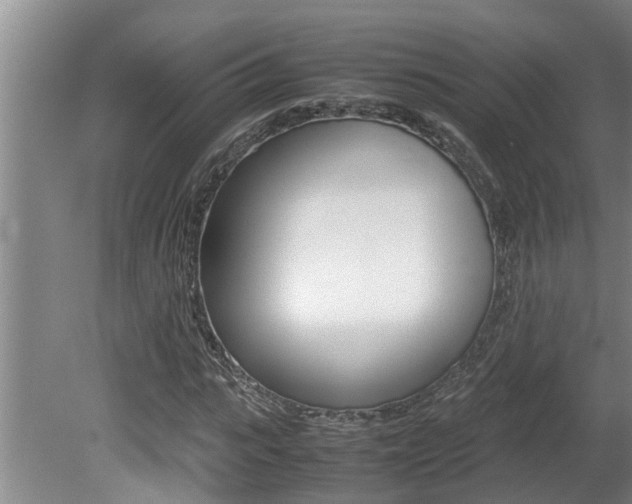 X0000080750919200612150954