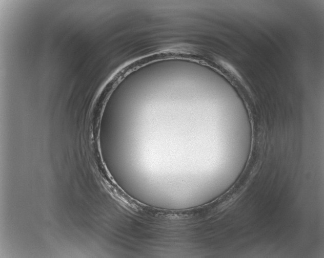 X0000080750923200612150954