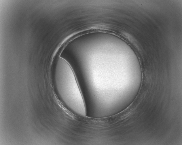 X0000080750931200612150954