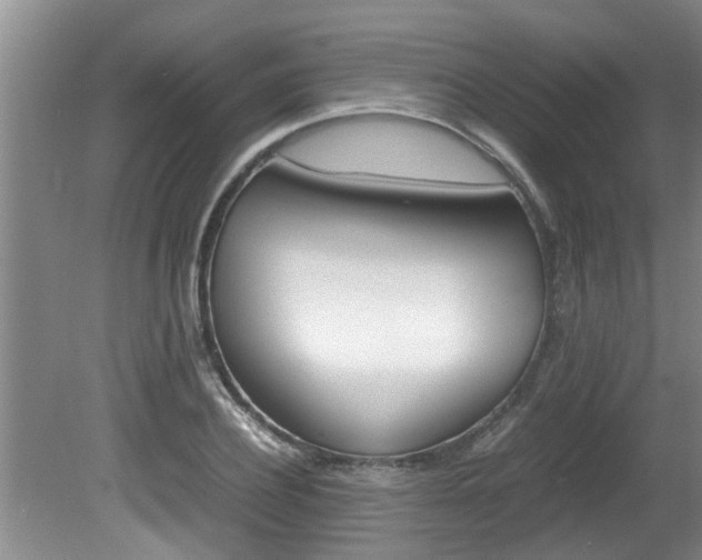 X0000080750932200612150954