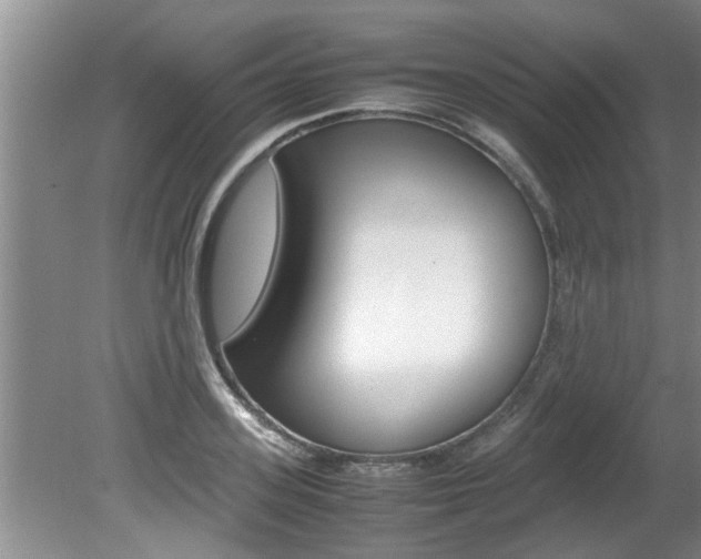 X0000080750939200612150954