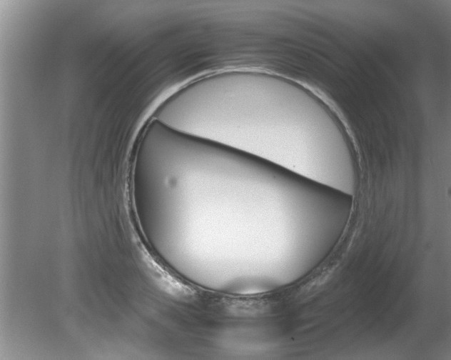 X0000080750941200612150954