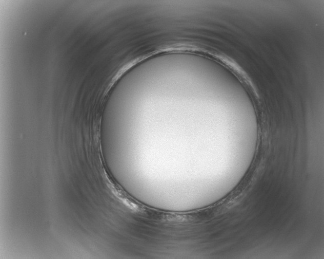 X0000080750945200612150954
