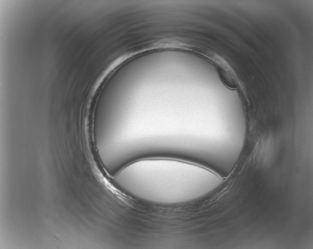 X0000080750947200612150954