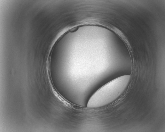 X0000080750958200612150954