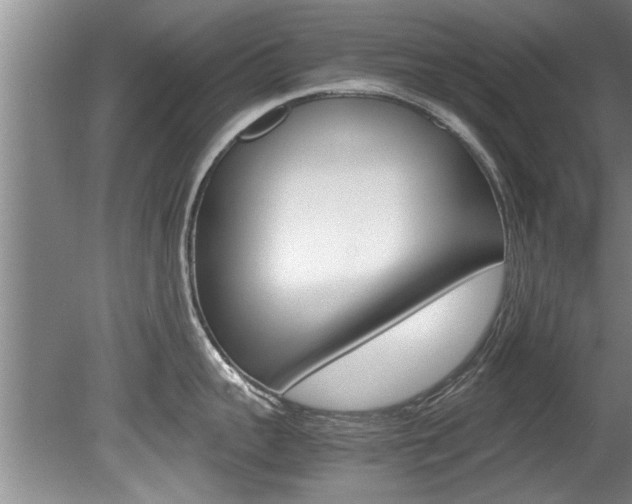 X0000080750959200612150954