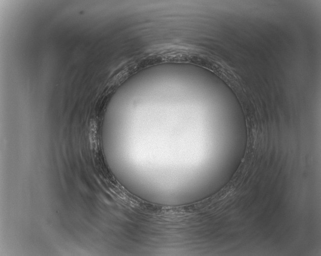 X0000080750964200612150954