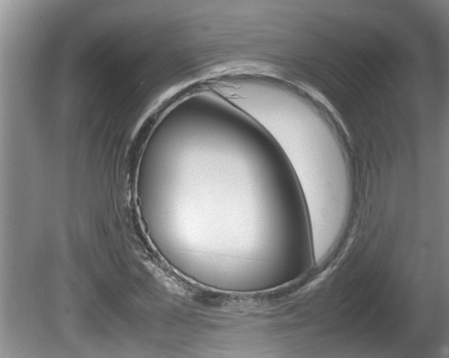 X0000080750973200612150953