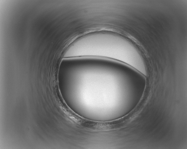 X0000080750977200612150953