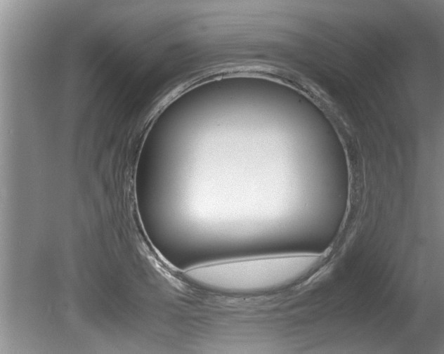 X0000080750985200612150953